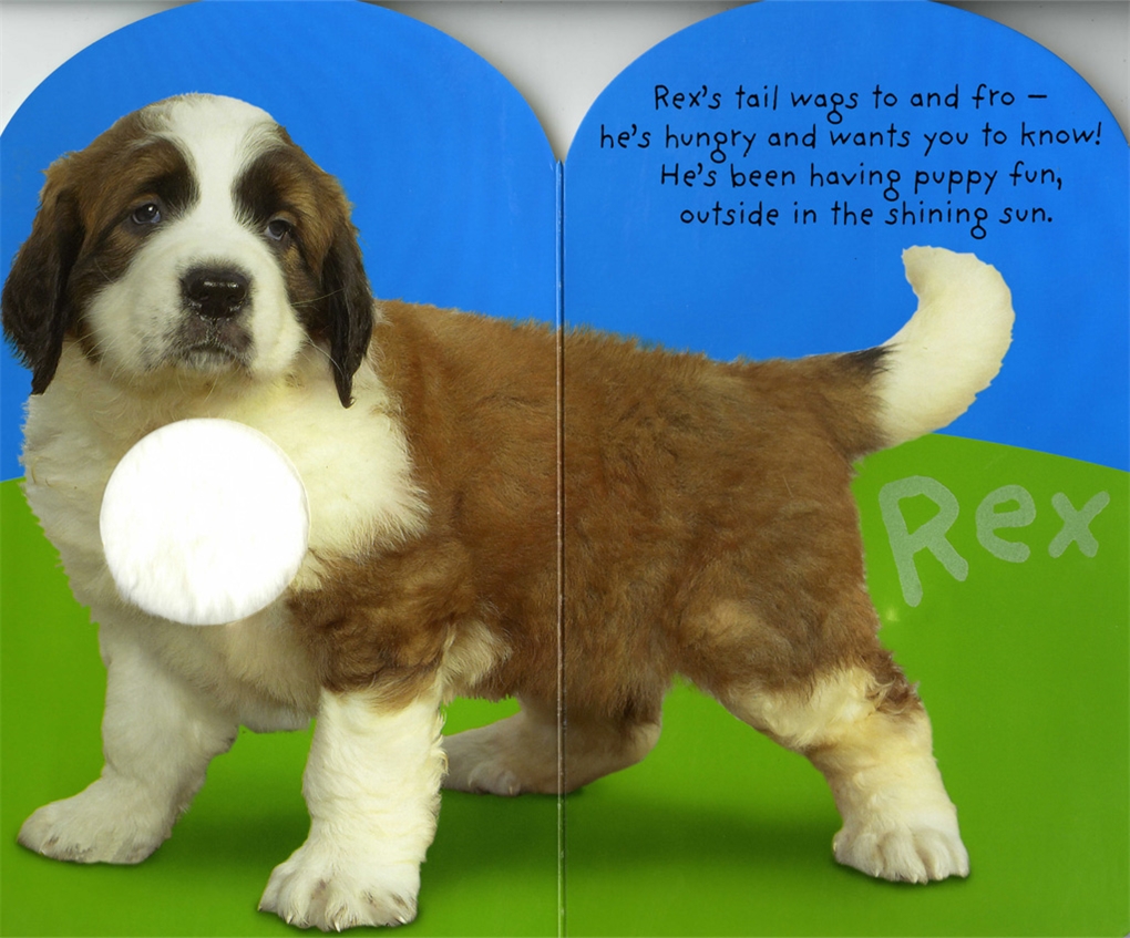 puppy baby book baby touch and feel puppy roger priddy macmillan puppy baby book baby touch and feel puppy roger priddy macmillan