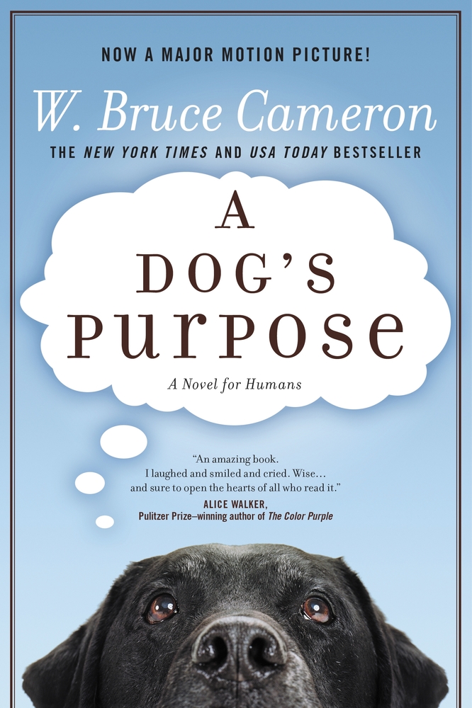 a s purpose a s purpose w bruce cameron macmillan a s purpose a s purpose w bruce cameron macmillan