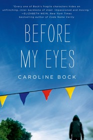 before my eyes a novel picture