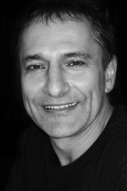 David Amerland