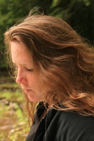 Maureen N. McLane