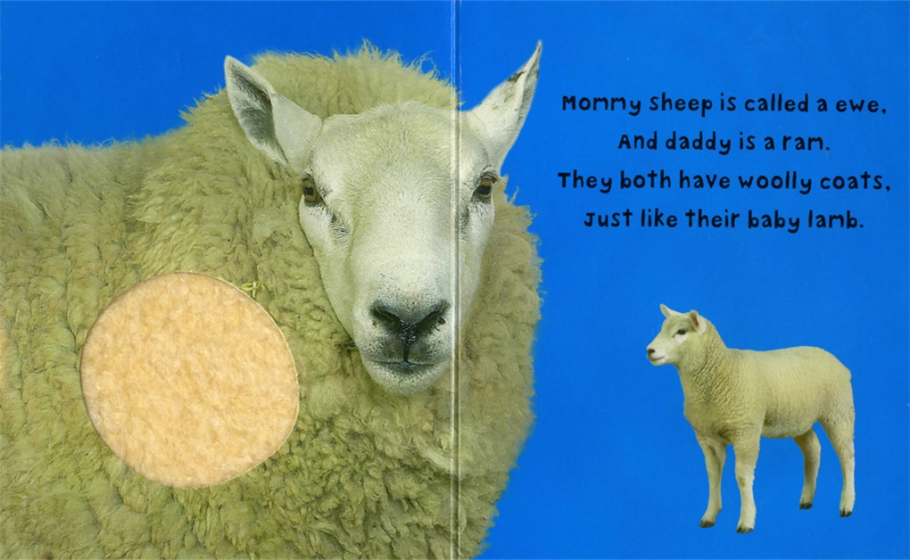 bright baby touch and feel