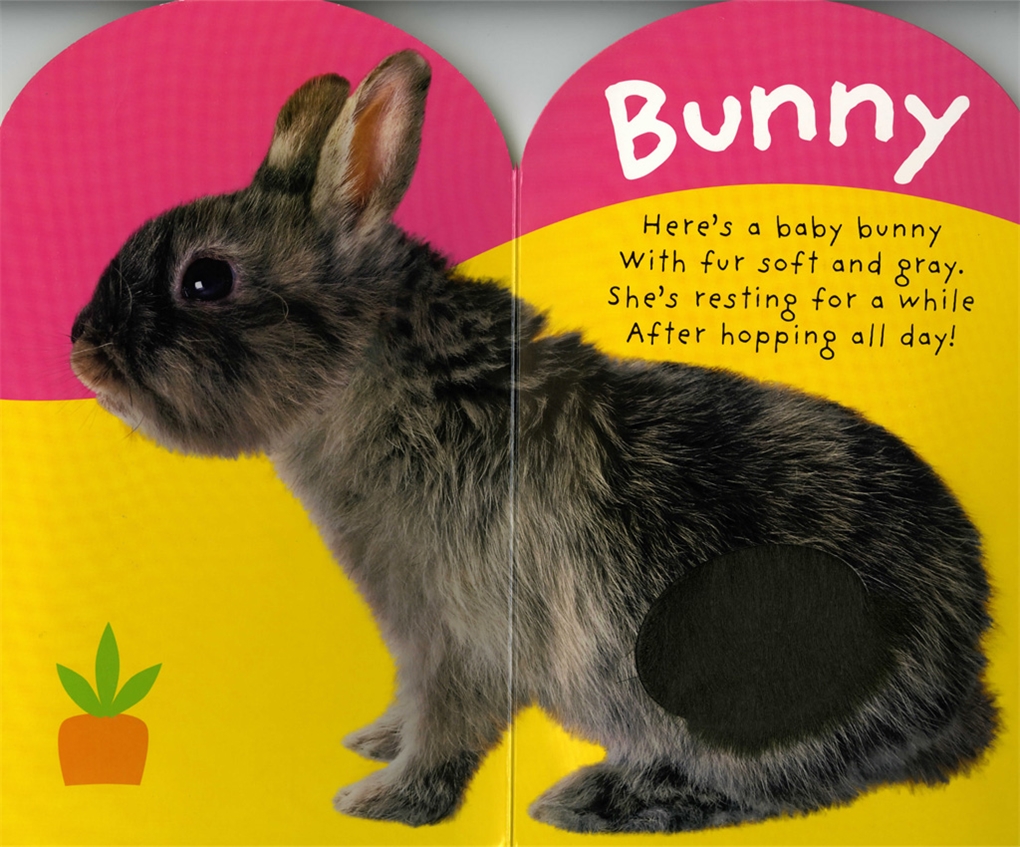 Baby Touch and Feel Bunny