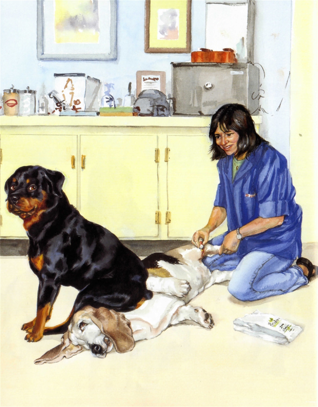 carl s sleepy afternoon alexandra day macmillan