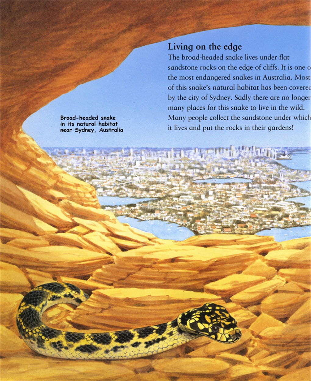 book a snake falls to earth book a snake falls to earth