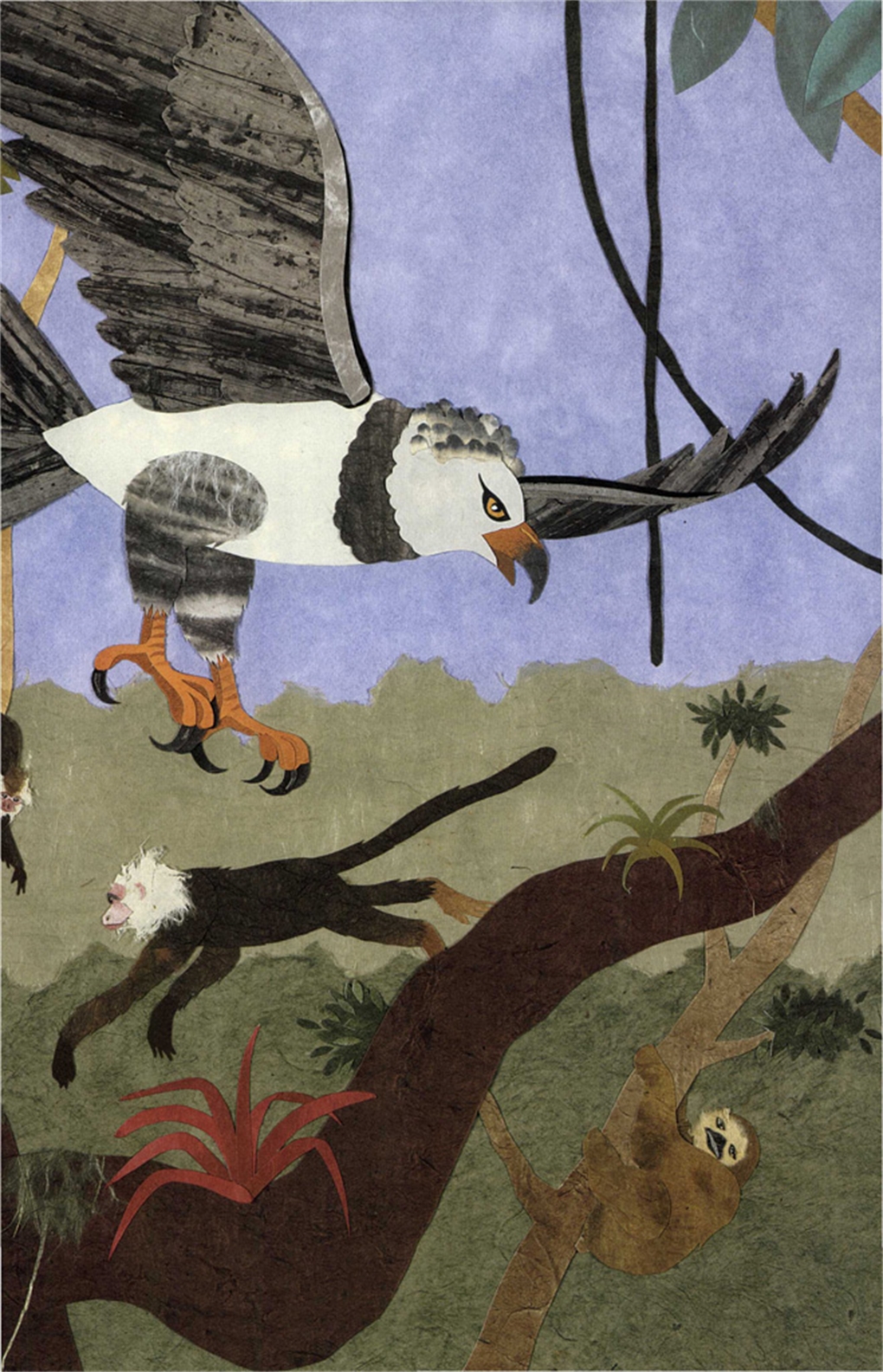 Interior book image for Rain, Rain, Rain Forest