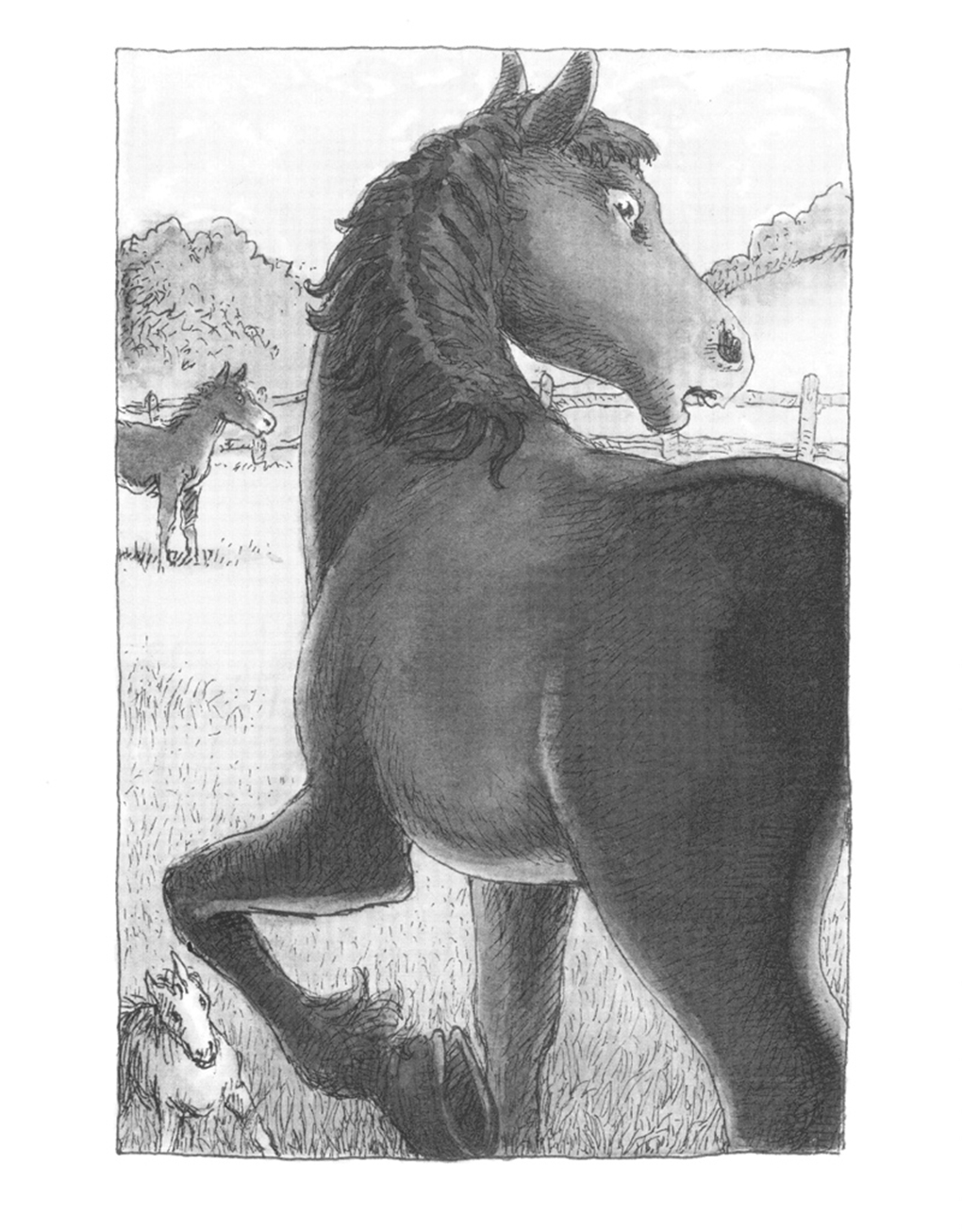 Little Horse on His Own