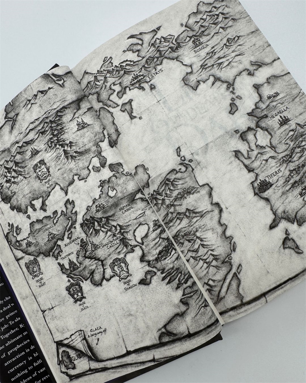 Interior book image for The Lion & the Deathless Dark