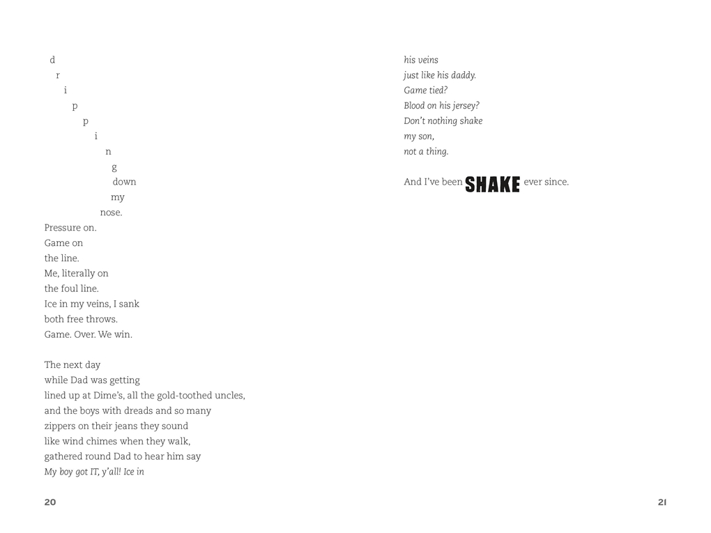 Interior book image for Shook