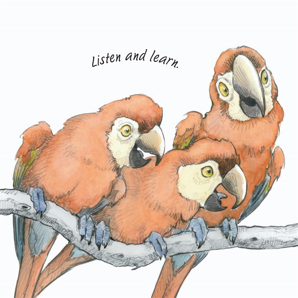 Bird Talk
