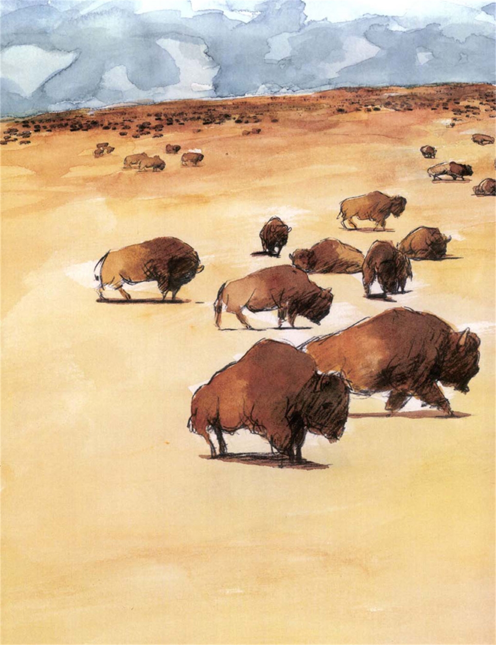 Gold! Gold from the American River!