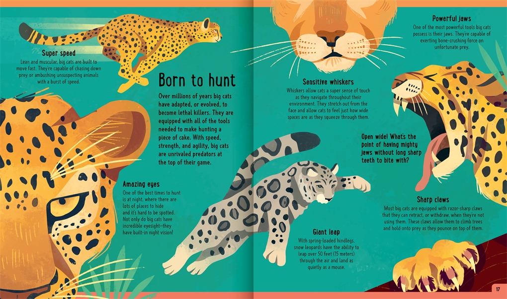 Big Cats (A Day in the Life)