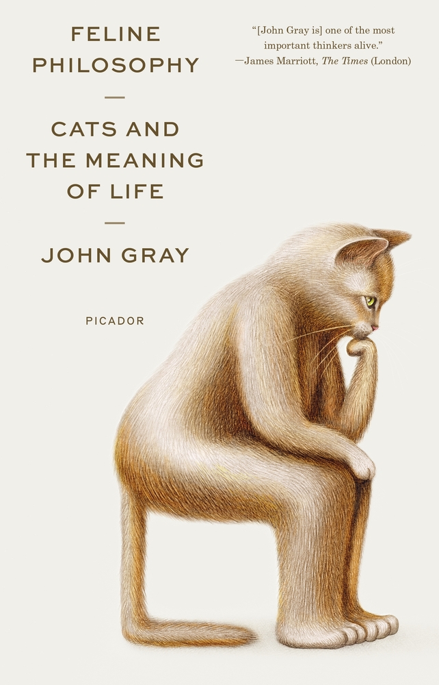 Feline Philosophy John Gray Macmillan