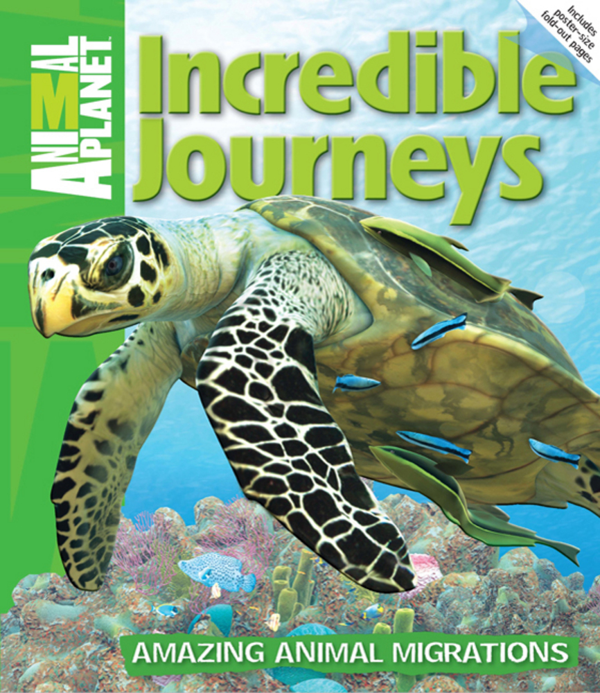 Incredible Journeys ANIMAL Macmillan