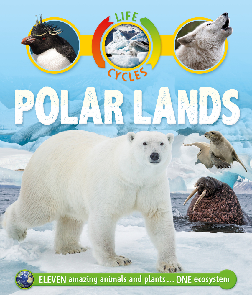 Life Cycles: Polar Lands | Sean Callery | Macmillan