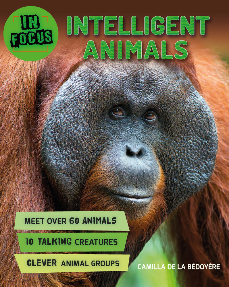 In Focus Intelligent Animals Camilla de la Bedoyere Macmillan