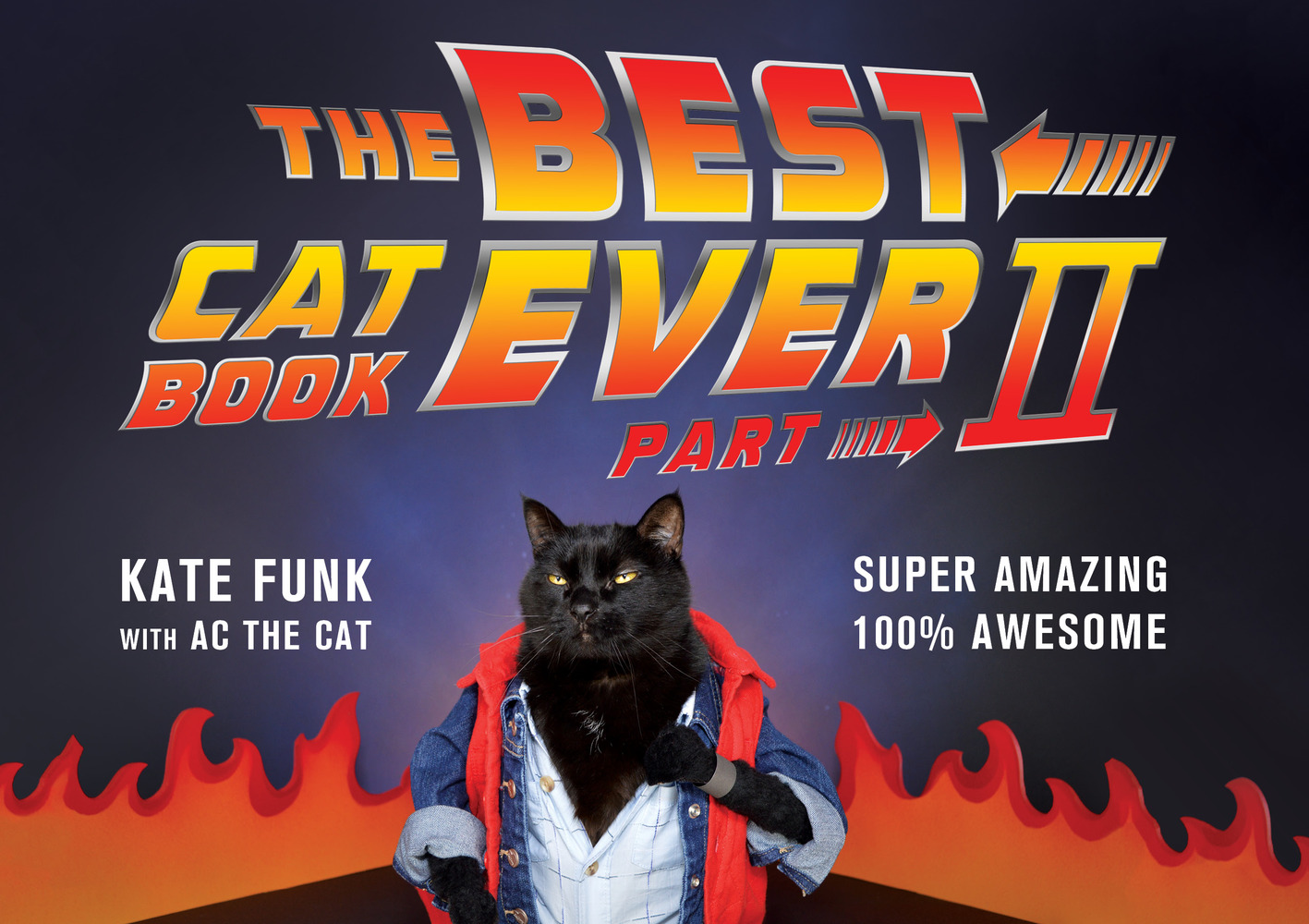 The Best Cat Book Ever Part II Kate Funk Macmillan