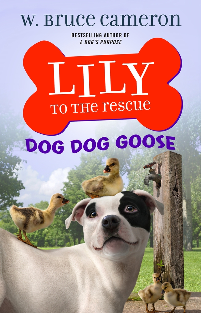 Lily to the Rescue Dog Dog Goose W. Bruce Cameron Macmillan