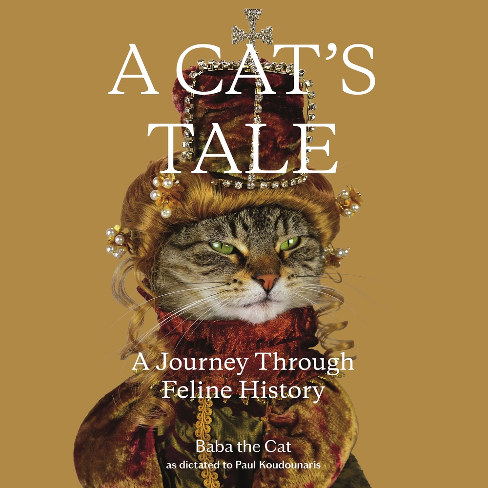 A Cat's Tale Dr. Paul Koudounaris Macmillan