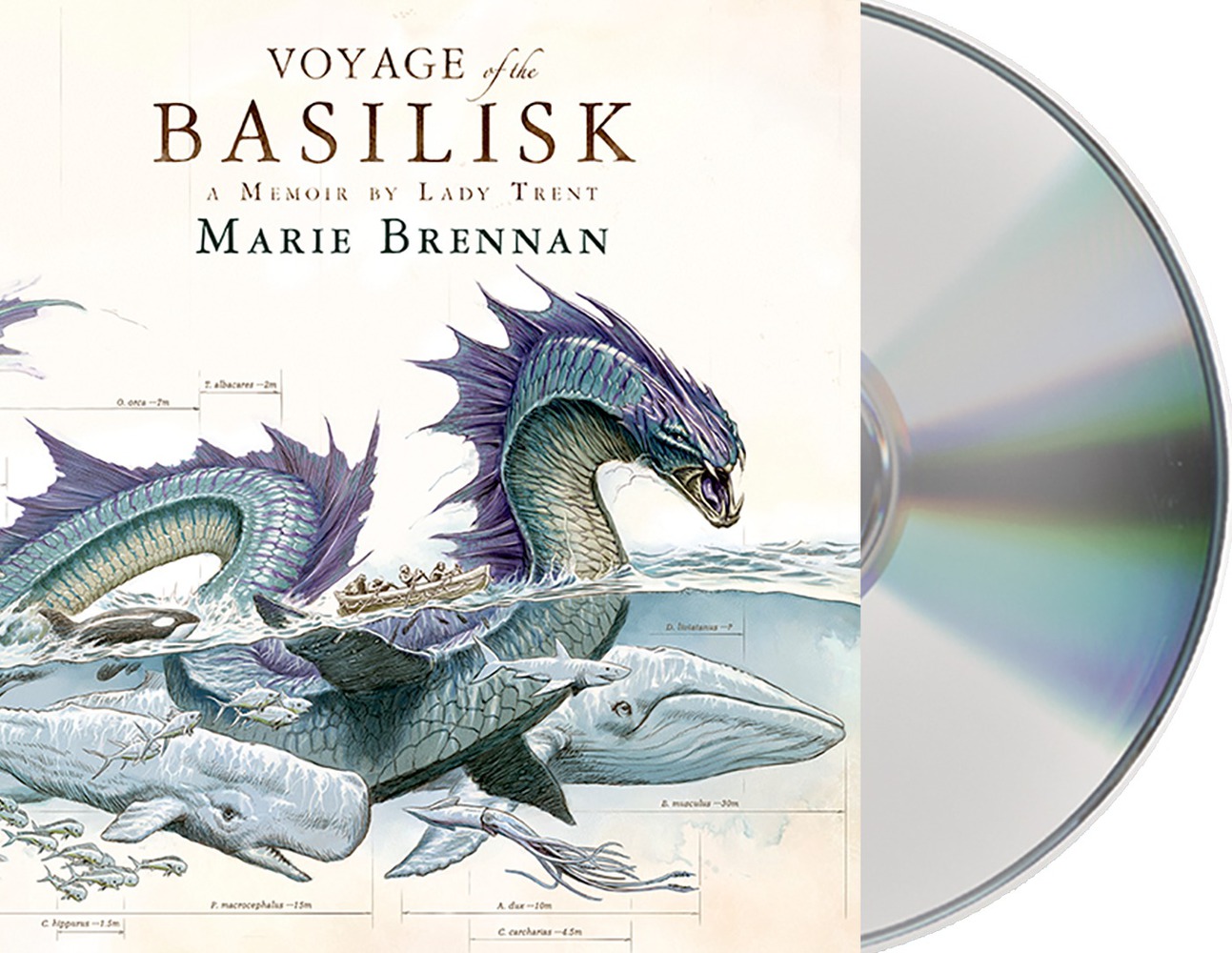 Basilisk ii download Basilisk ii download