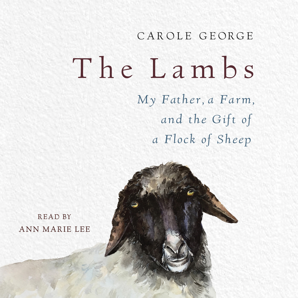 The Lambs Carole Macmillan