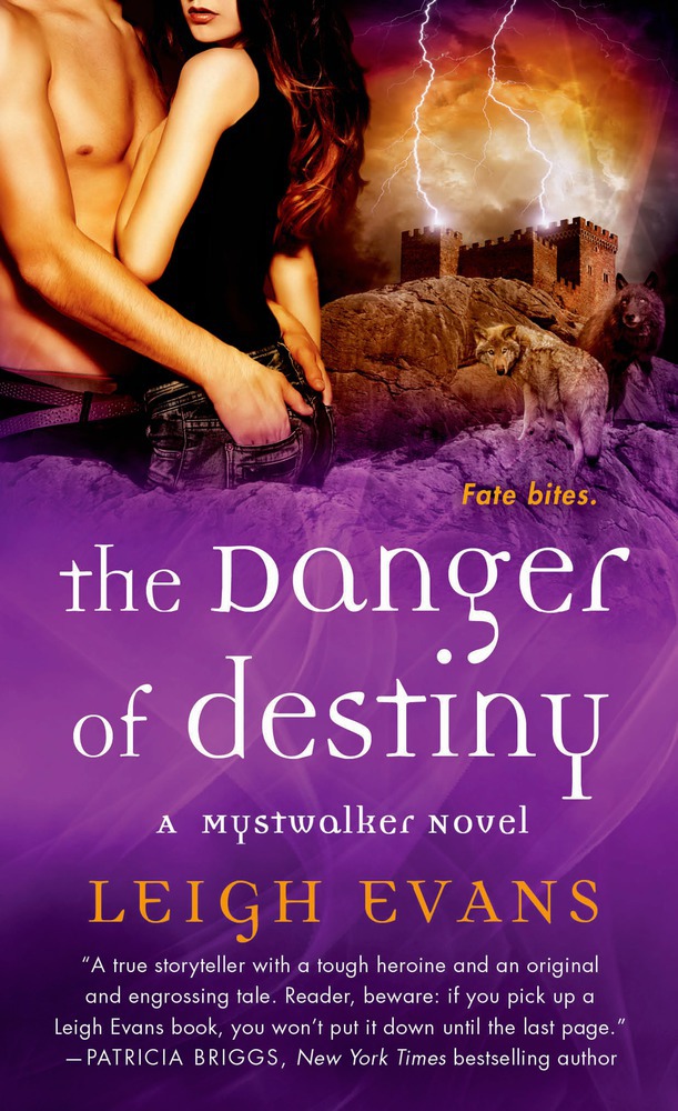 The Danger Of Destiny Leigh Evans Macmillan