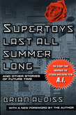 Supertoys Last All Summer Long