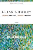 Little Mountain