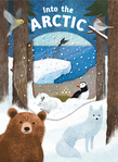 Look Closer: Into the Arctic
