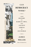 Can Democracy Work?