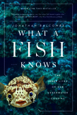 What a Fish Knows