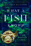 What a Fish Knows