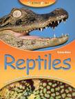 Science Kids Reptiles