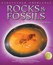 Kingfisher Knowledge: Rocks And Minerals