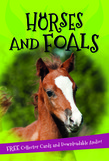 It's all about... Horses and Foals