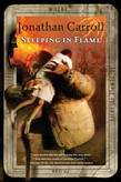 Sleeping in Flame