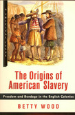The Origins of American Slavery