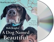 A Dog Named Beautiful
