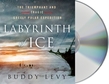 Labyrinth of Ice