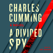 A Divided Spy