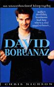 David Boreanaz