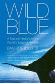Wild Blue