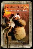 Sleeping in Flame