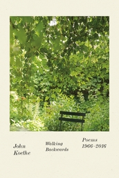 Walking Backwards Book Cover - Click to open Coming Soon panel