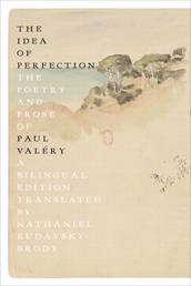 The Idea of Perfection Book Cover - Click to open Coming Soon panel