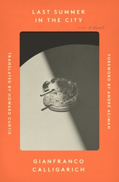 Last Summer in the City Book Cover - Click to open Coming Soon panel