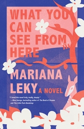 What You Can See from Here Book Cover - Click to open New Releases panel
