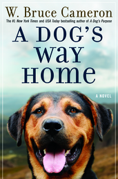 A Dog's Way Home