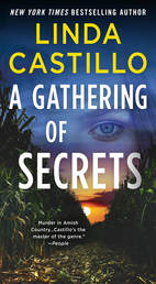 A Gathering of Secrets Book Cover - Click to open Coming Soon panel