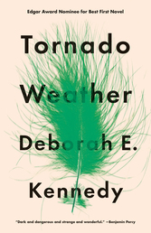 Tornado Weather Book Cover - Click to open New Releases panel